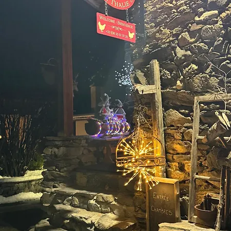 塔利亚乐小木屋酒店 3*